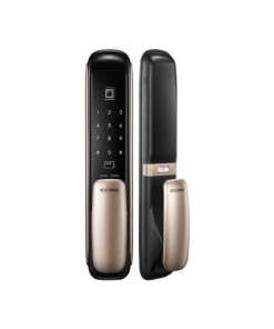 A6 Pull & Push - Gold